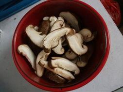 成人素香菇肠吃法视频,成人素香菇肠的多样美味吃法揭秘