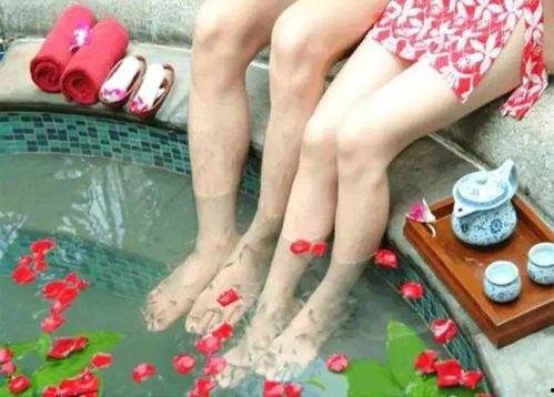 成人乐园吃鱼视频大全,趣味盎然的吃鱼视频大盘点