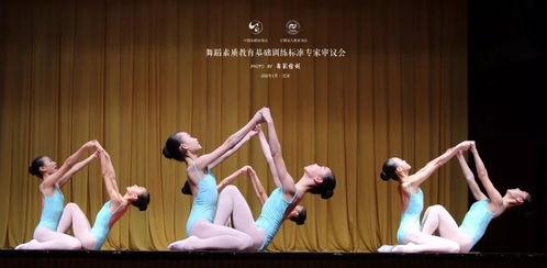 小跳蛙成人舞蹈完整视频,动感舞步，释放活力，尽享舞蹈魅力